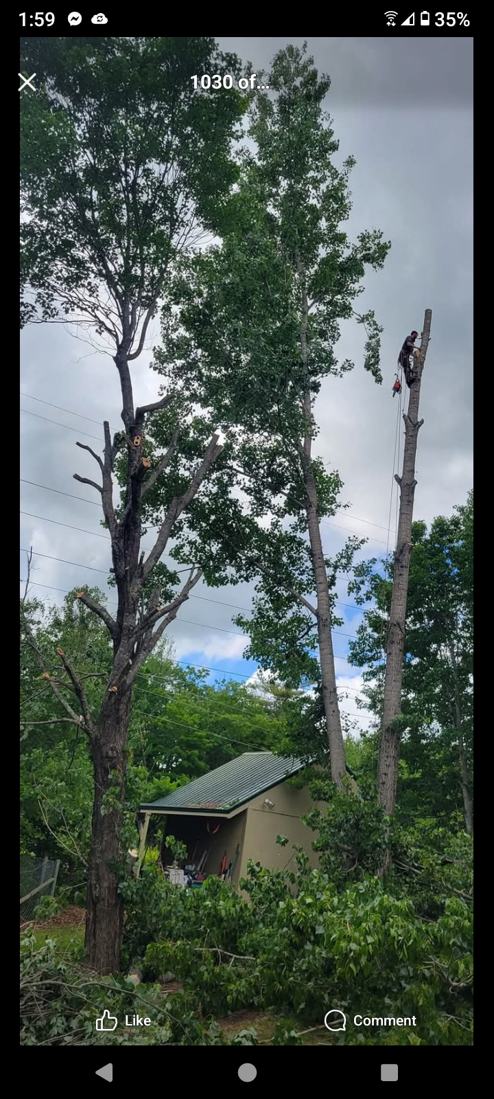 Tree climber working high above a Bridgton property